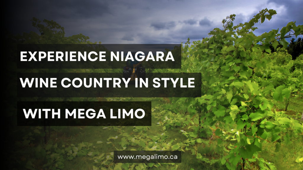 Experience Niagara Wine Country in Style with Mega Limo